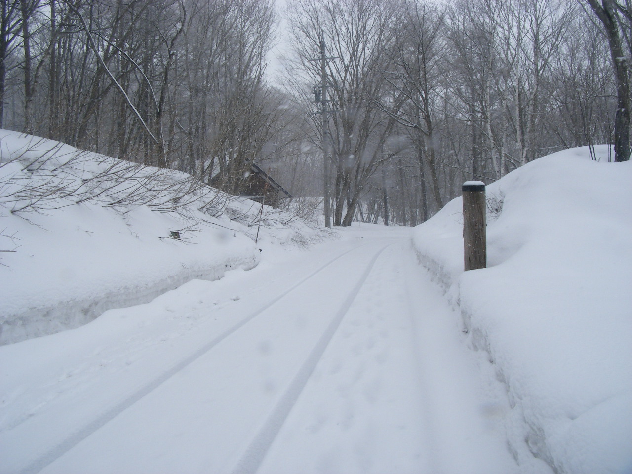 まだまだ、雪景色