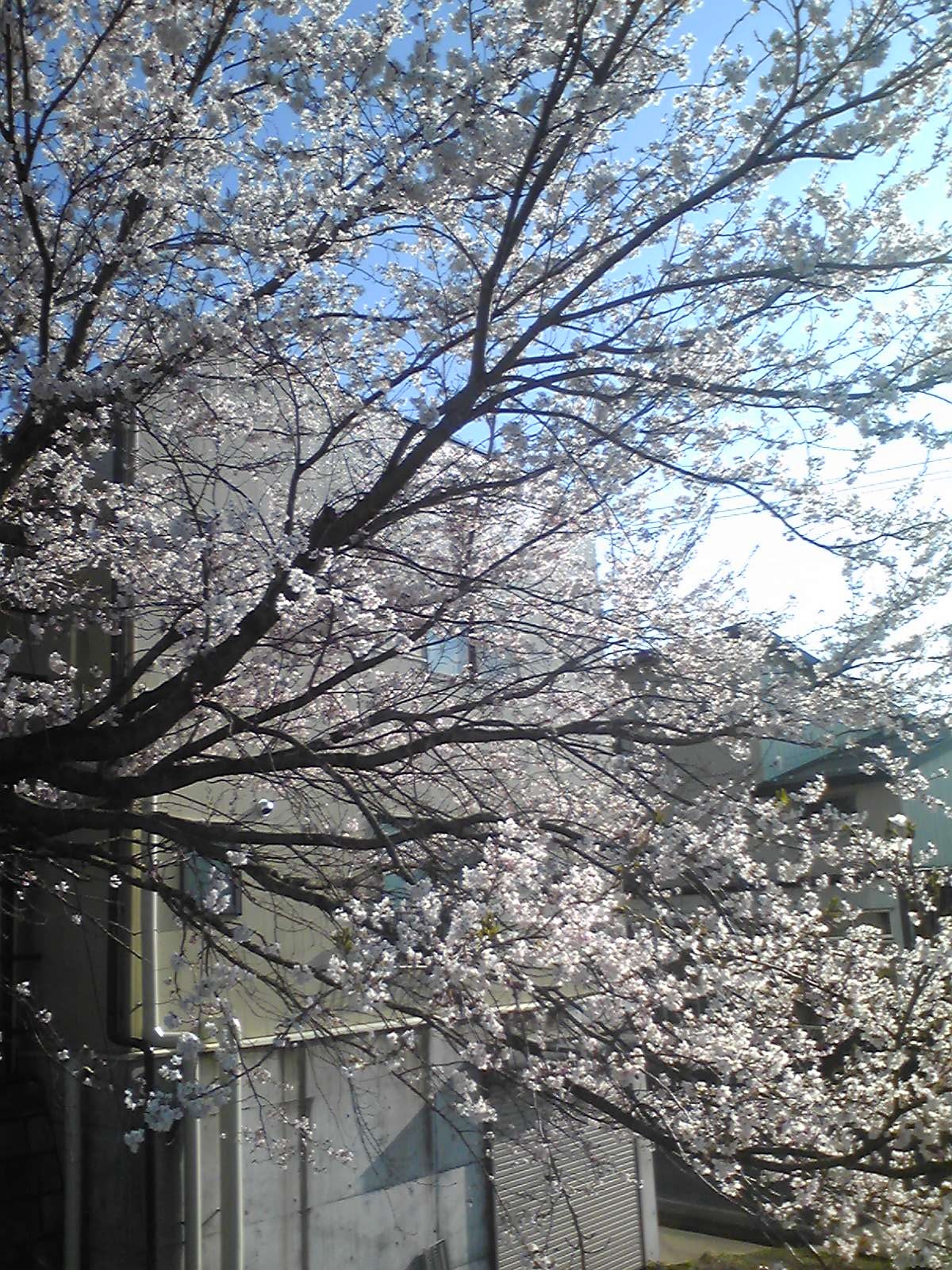 ご協力、ありがとうございました。