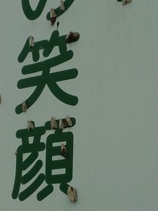 CA3I6330