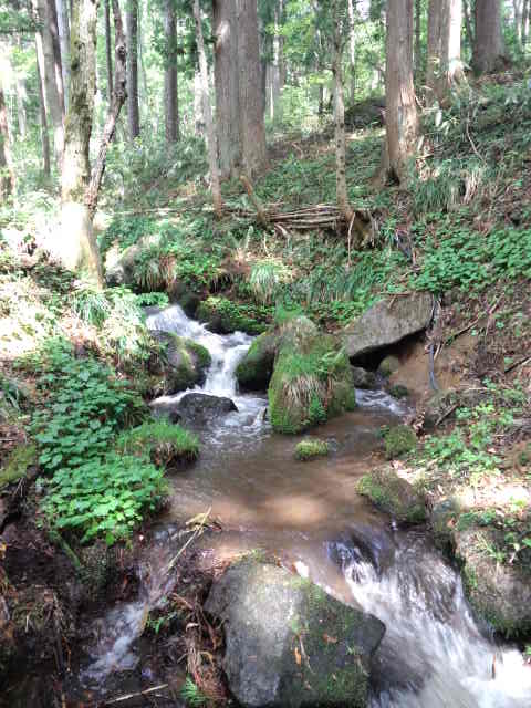 大門川の上流は・・・