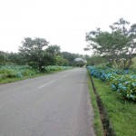 CA3I7548