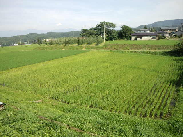 こんなことあるの?