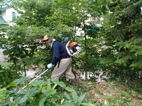 いざ！草刈りへ