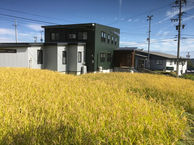 ツチクラの田んぼ 稲刈り