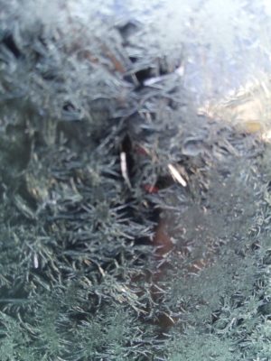 IMG_20170122_081248