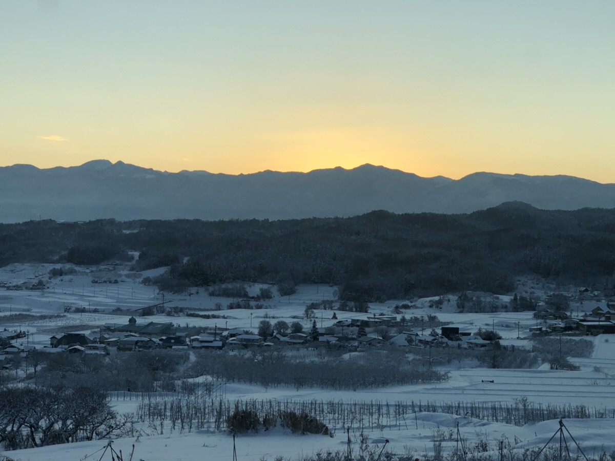 新年 始まりました！