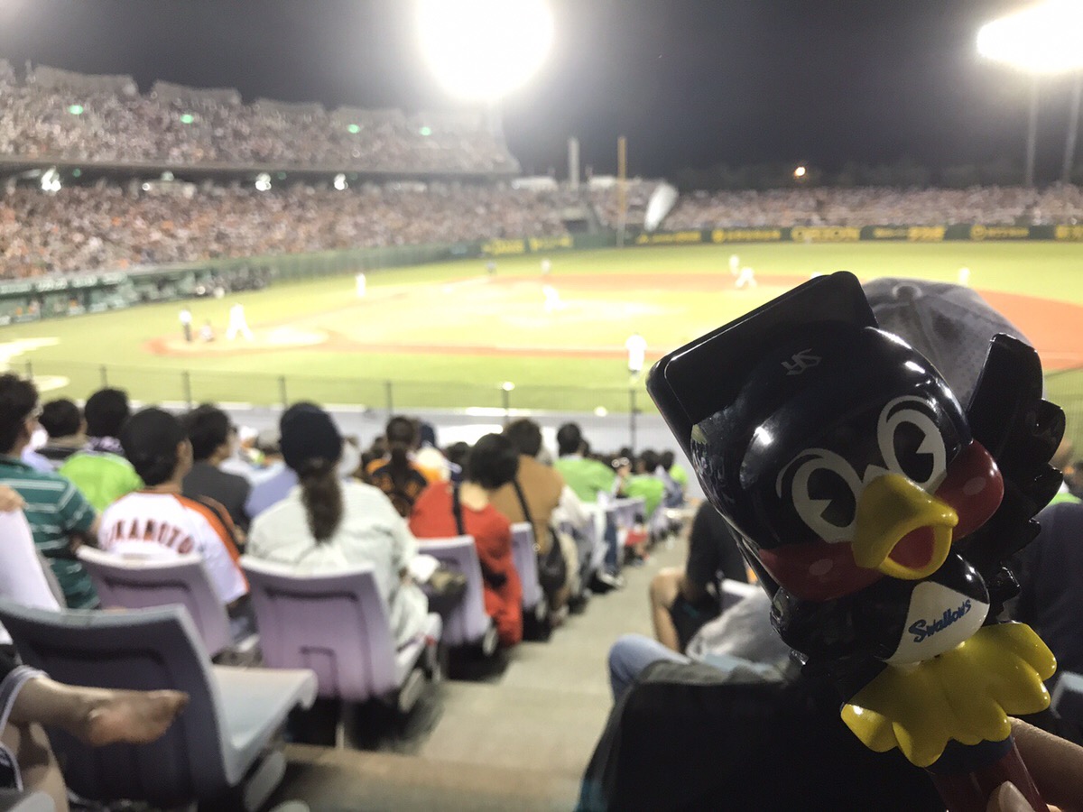 プロ野球観戦