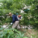 IMG_20160714_140855
