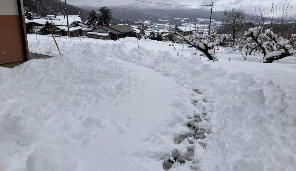 大雪の翌朝、雪かきで道をつけた飯綱町の家の前